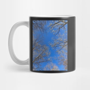 Trees Blooming In Spring Mug